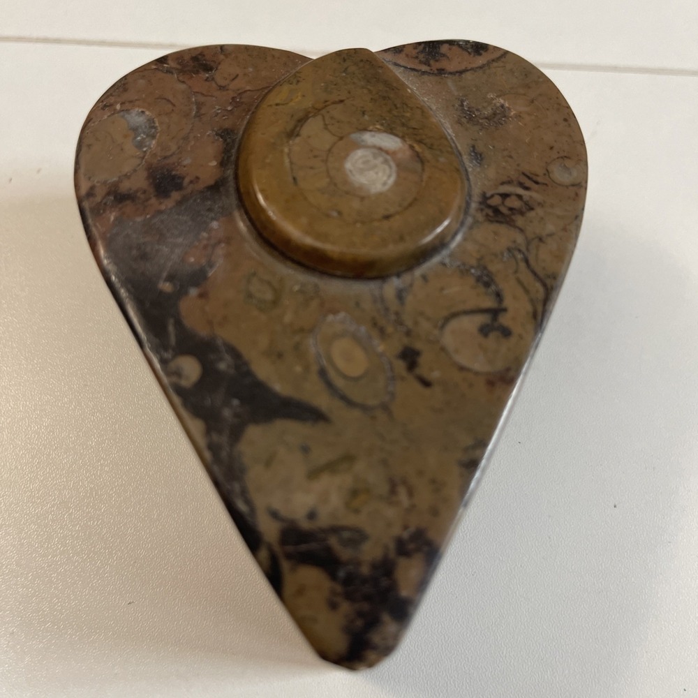 Orthoceras Fossil Ammonite Heart Dish Trinket Dish Ring Holder 3" X 3.5" Beauty